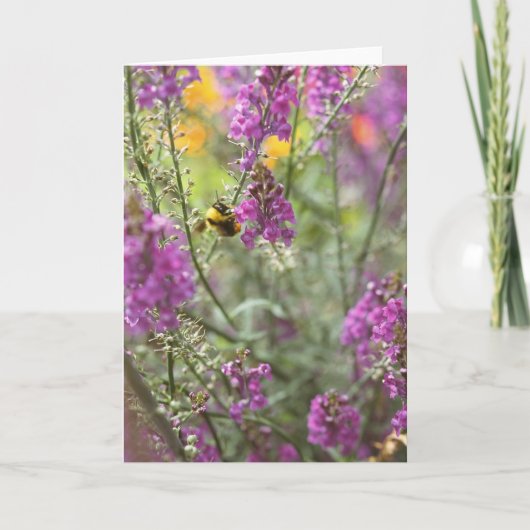 Biene mit Wildblume Foto Karte (Vorderseite)