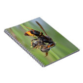 Biene Notizblock (Rechte Seite)