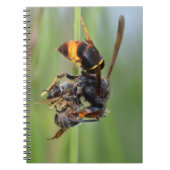 Biene Notizblock (Vorderseite)