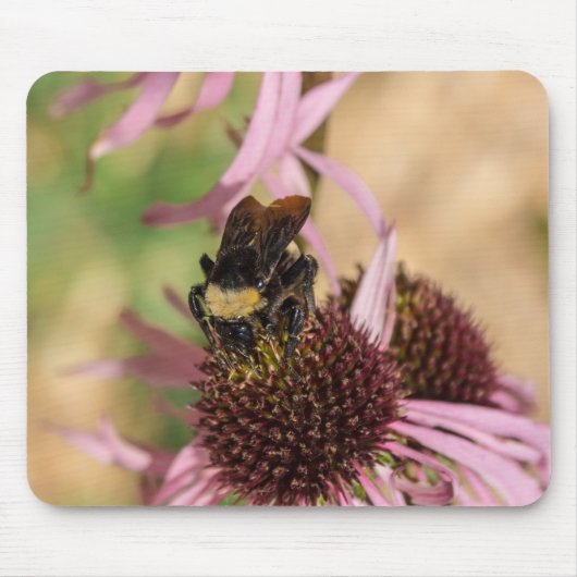 Biene on Black Mit Augen Susan Pano Mousepad (Vorne)