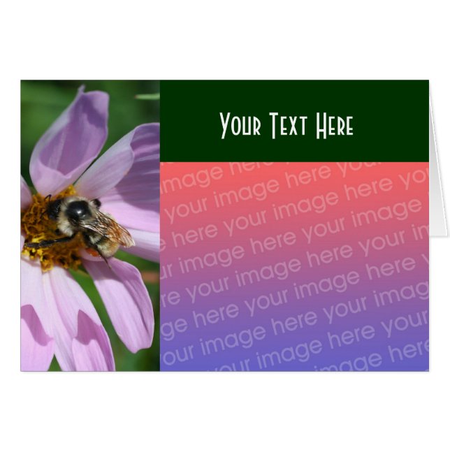 Biene On Cosmos Blume Nature Foto Card (Vorderseite (Horizontal))
