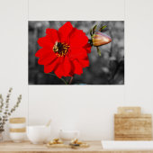Biene on Red Blume Poster (Küche)