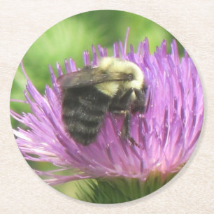 Biene on Thistle Party Untersetzer