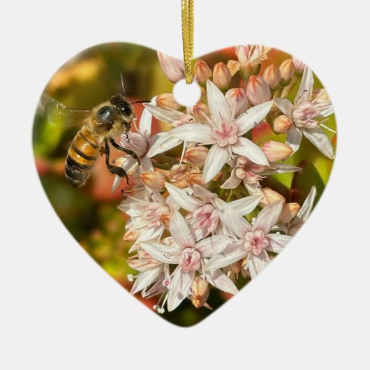 Biene, Ornament (Vorne)