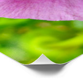 Biene Poster (Ecke)