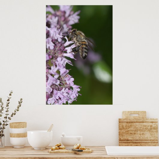 Biene Poster (Küche)