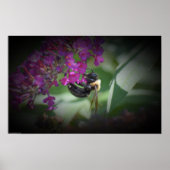 Biene Poster (Vorne)