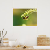Biene Poster (Küche)