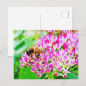 Biene Postkarte (Vorne/Hinten)