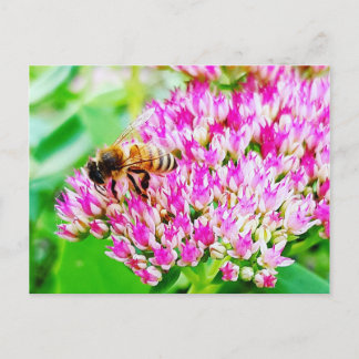 Biene Postkarte