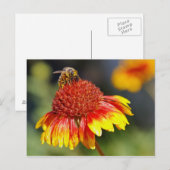 Biene Postkarte (Vorne/Hinten)