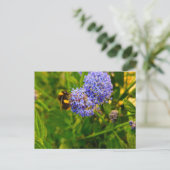 Biene Postkarte (Stehend Vorderseite)