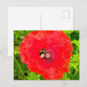 Biene Postkarte (Vorne/Hinten)