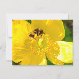 Biene Postkarte