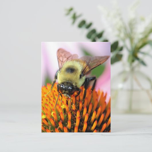 Biene Postkarte (Stehend Vorderseite)