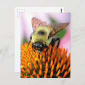 Biene Postkarte (Vorne/Hinten)