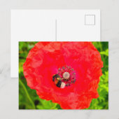 Biene Postkarte (Vorne/Hinten)