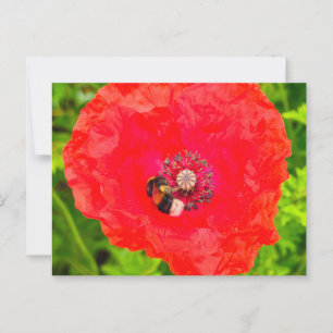 Biene Postkarte