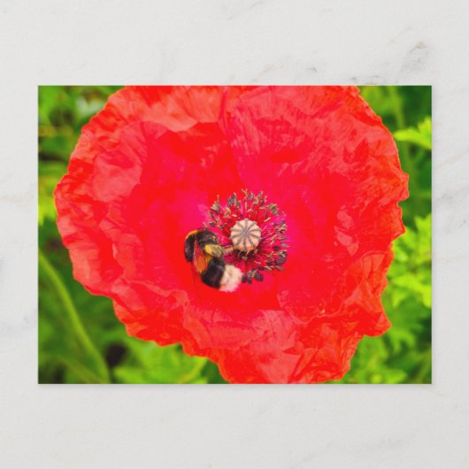 Biene Postkarte (Vorderseite)