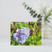 Biene Postkarte (Stehend Vorderseite)