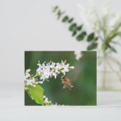 Biene Postkarte (Stehend Vorderseite)