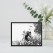 Biene Postkarte (Stehend Vorderseite)