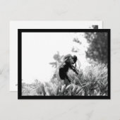 Biene Postkarte (Vorne/Hinten)