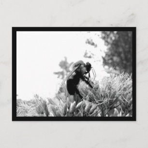 Biene Postkarte