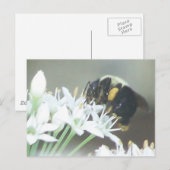 Biene Postkarte (Vorne/Hinten)