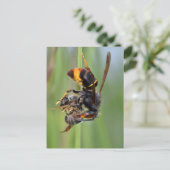 Biene Postkarte (Stehend Vorderseite)