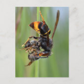 Biene Postkarte (Vorderseite)