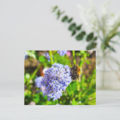 Biene Postkarte (Stehend Vorderseite)
