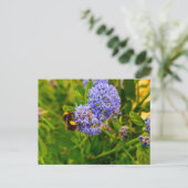 Biene Postkarte (Stehend Vorderseite)