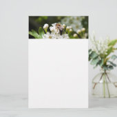 Biene sammelt Pollen Briefpapier (Stehend Vorderseite)