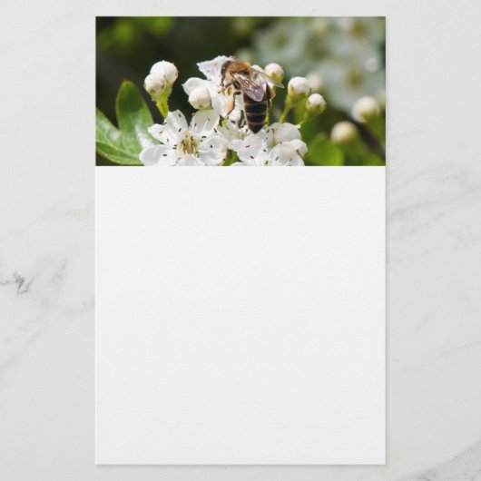 Biene sammelt Pollen Flyer (Vorne)