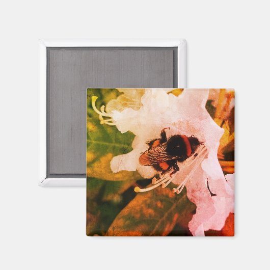 Biene - Teil der Insektenreihe Magnet (Vorderseite/Rückseite)