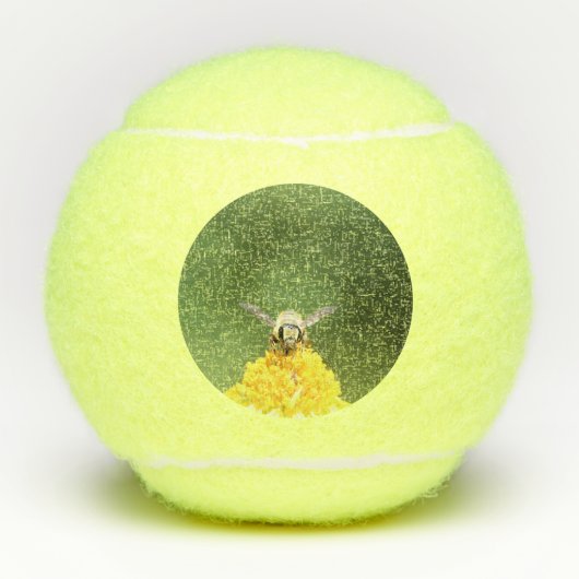 Biene Tennisbälle (Vorderseite)