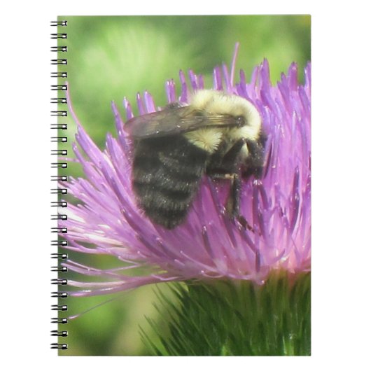 Biene & Thistle-Notebook Notizblock (Vorderseite)