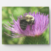 Biene & Thistle Plaque Fotoplatte (Vorderseite)