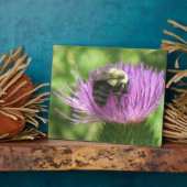 Biene & Thistle Plaque Fotoplatte (Seite)
