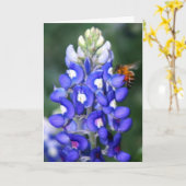 Biene u. Bluebonnet Karte (Gelbe Blume)