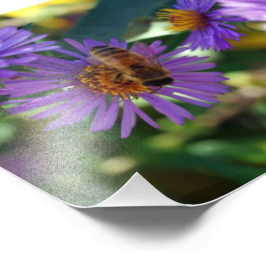 Biene-u-t-ful Fotodruck (Ecke)