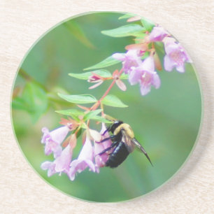 Biene und Abelia Untersetzer