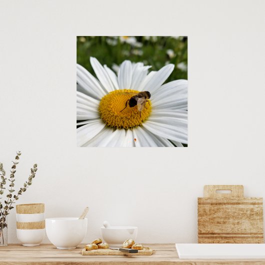 Biene und Biene Poster (Küche)