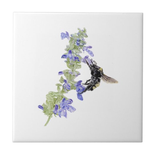 Biene und Blauer Salbei Fliese (Vorderseite)