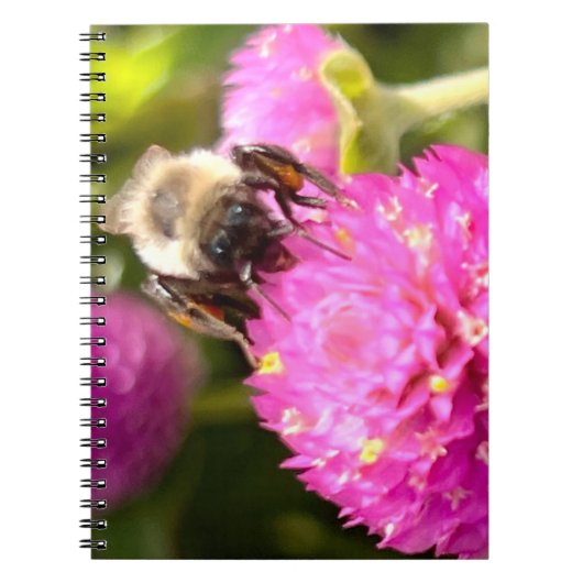 Biene und Blossom Notizblock (Vorderseite)