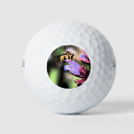 Biene und Blume wu gbcna Golfball