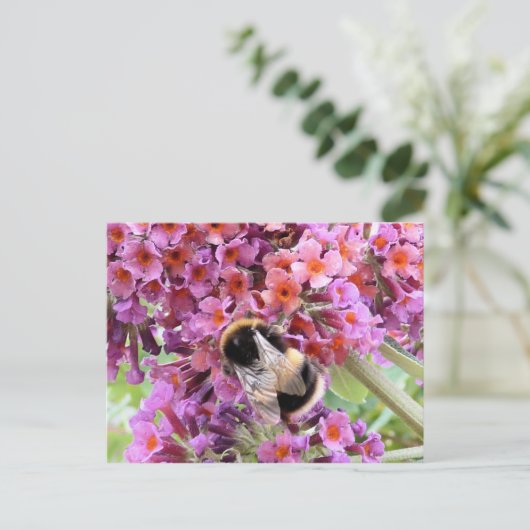 Biene und Buddleia Postkarte (Stehend Vorderseite)