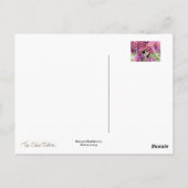 Biene und Buddleia Postkarte (Rückseite)