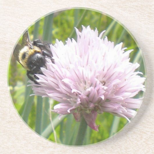 Biene und Chive Blume Sandstein Untersetzer (Vorne)